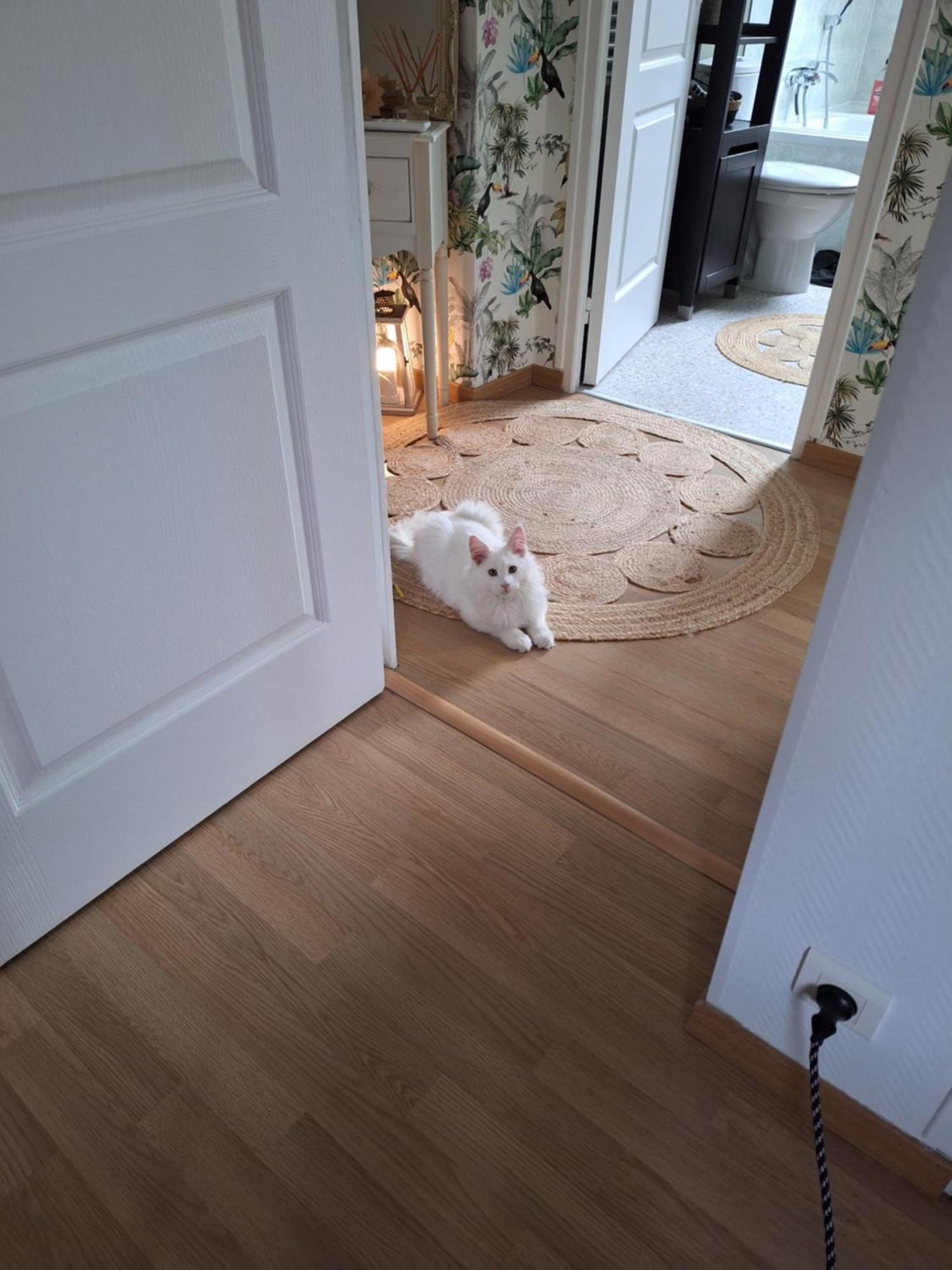 Chambre Climatisee Au Coeur De Brive Avec Televiseur Connecte Wifi Netflix 외부 사진